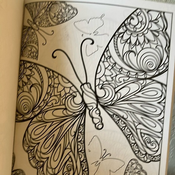 Liqui-Mark: Color Therapy Adult Coloring Book- 48 pages- 2016 - Picture 8 of 16
